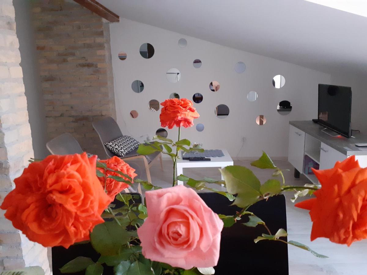 Flora Novi Sad Apartamento Exterior foto